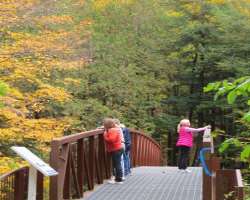 The place is ideal for you if you love bird watching. It is home to several beautiful birds that made their nests on the trees in this area. It also h